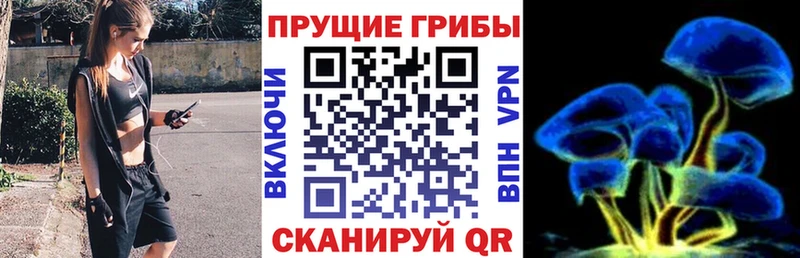 цены наркотик  площадка клад  Псилоцибиновые грибы Magic Shrooms  Зверево 